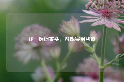 CF一键烟雾头,游戏实用利器