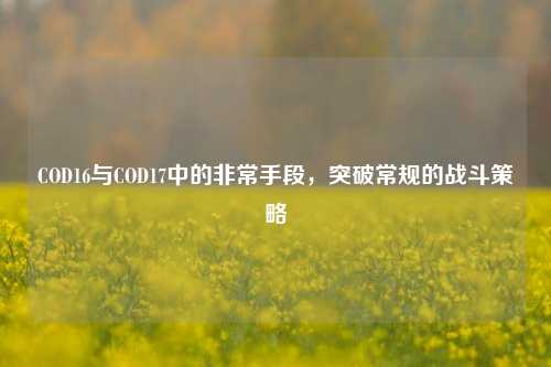 COD16与COD17中的非常手段,突破常规的战斗策略