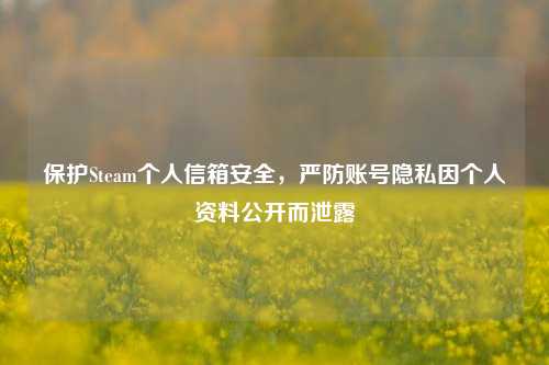 保护Steam个人信箱安全,严防账号隐私因个人资料公开而泄露
